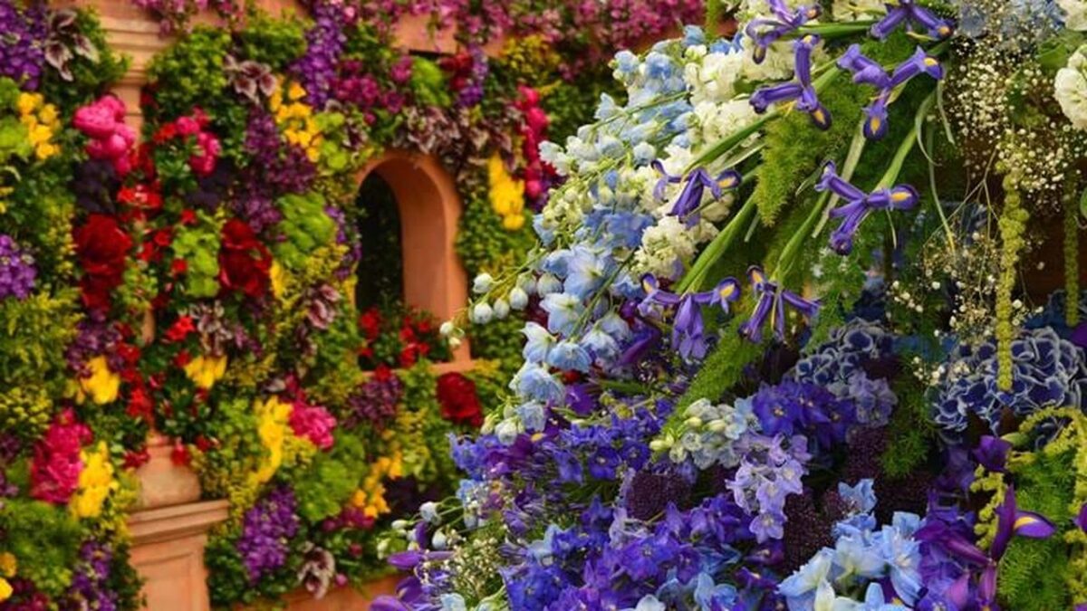 RHS flower show