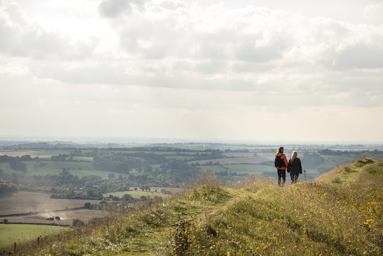 Old Winchester Hill, South Downs