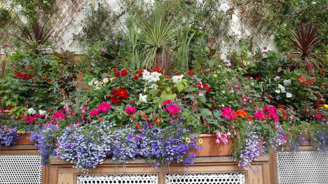 Inside the Victorian glasshouse at Balmoral