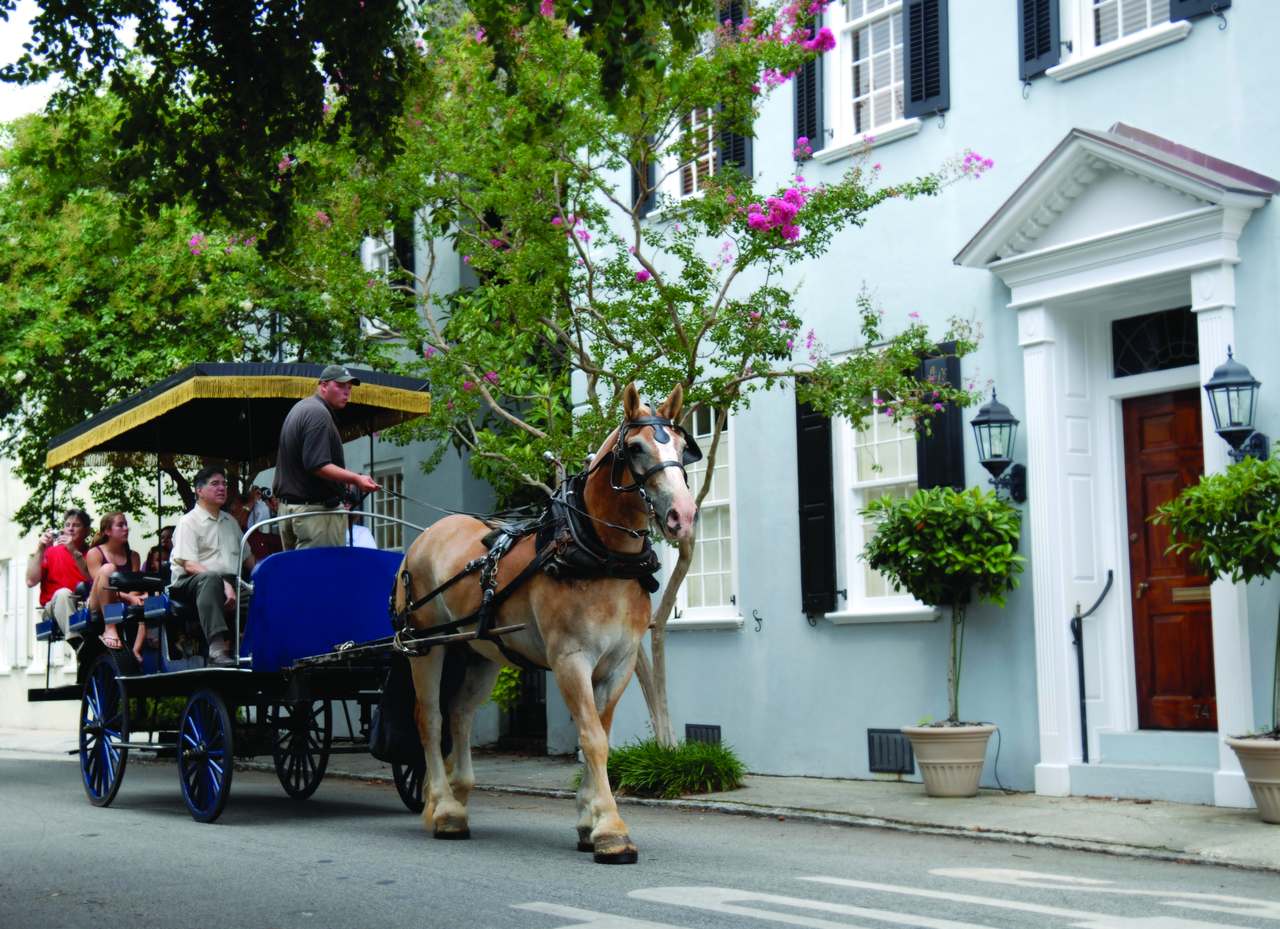 Carriage Tour in Charleston