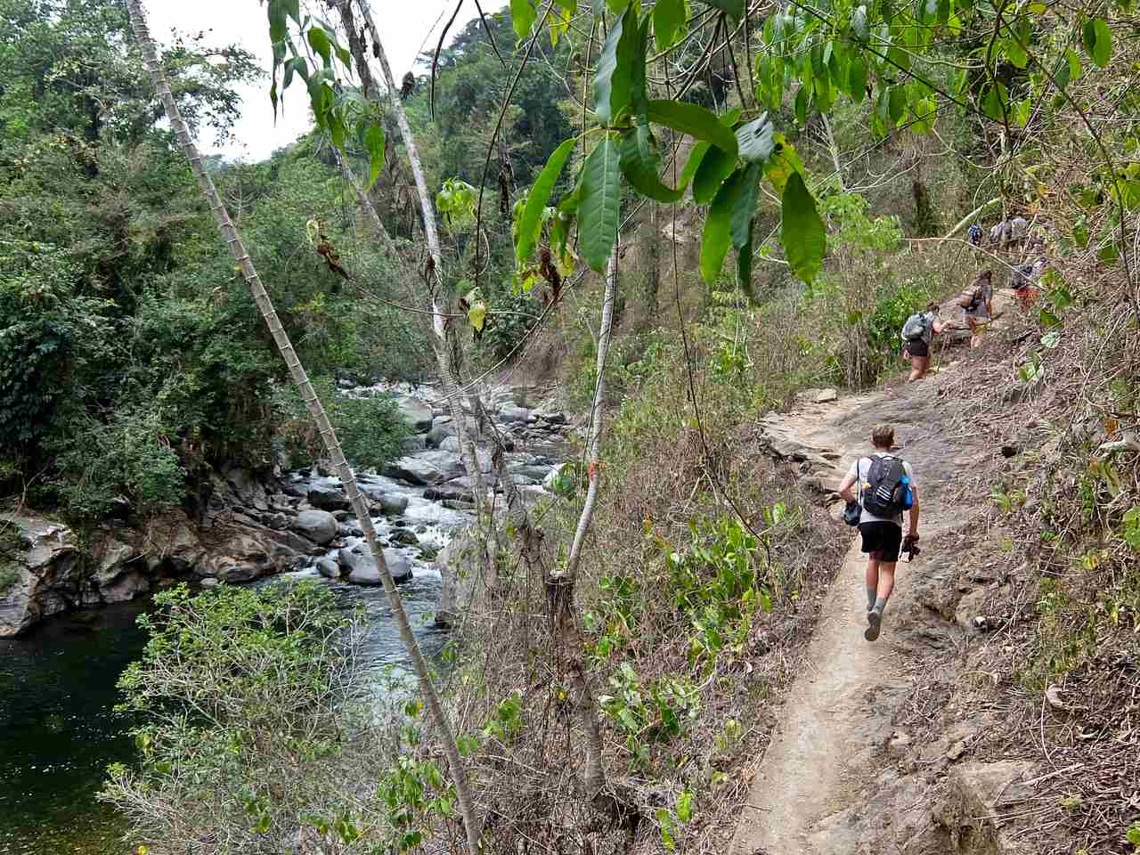 Path by River