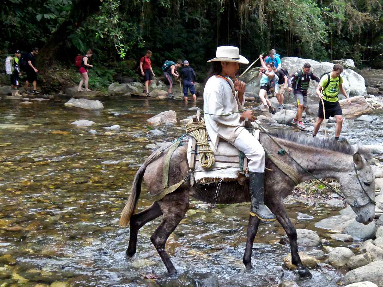 Crossing the River