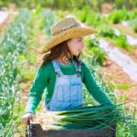 farmer-girl_272171171-690×518.jpg